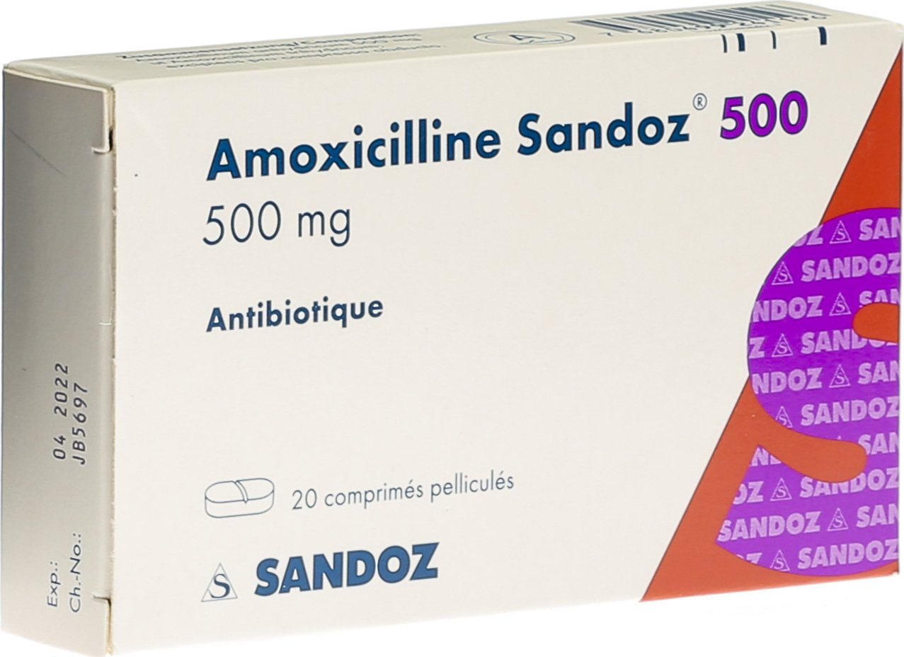 Amoxicilline 500 mg pour quoi