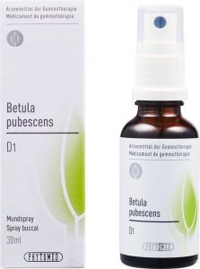 Phytomed Gemmo Platanus Oriental Liquid D 1 Spray 30ml in der Adler