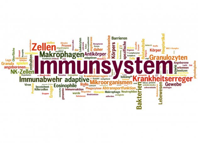 Adler Apotheke Immunsystem